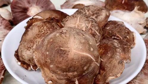 牛吃瓜营养好吗能吃吗视频,健康益处与食用建议