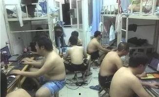 威海大学生打架吃瓜视频,一场“吃瓜”背后的校园风波