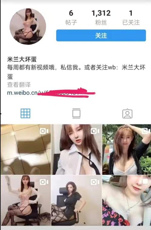 太仓直播吃瓜事件视频,一场网络争议的发酵与反思