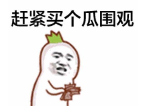 吃瓜群众前半部视频下载,一场视觉盛宴的精彩预告