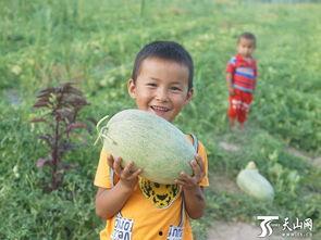 蜜瓜小朋友可以吃吗视频,蜜瓜小朋友适宜食用指南
