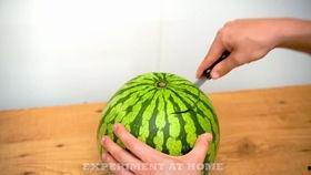 榆林府吃瓜视频,揭秘当地特色美食与民间风情