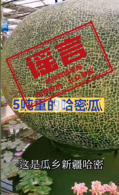 吃哈密瓜视频抖音,哈密瓜美食挑战，甜蜜滋味尽在指尖