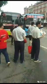 吃瓜群众能亲吻吗视频,视频揭秘社交新风尚