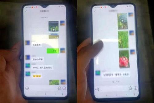 吃瓜微信群视频大全下载,视频大全下载背后的精彩瞬间
