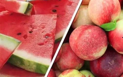 杨孟庄吃桃子瓜视频大全,趣味横生的田园生活瞬间