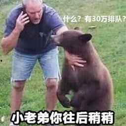 小老弟吃瓜视频,揭秘娱乐圈幕后故事