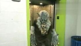 搞笑刺客吃瓜视频大全,笑料百出！搞笑刺客吃瓜视频大盘点