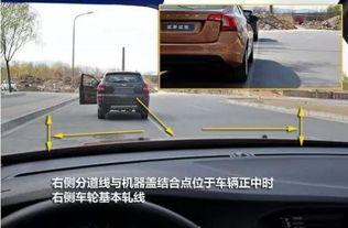 开车马路边吃瓜视频,车主边开车边吃瓜，引发网友热议