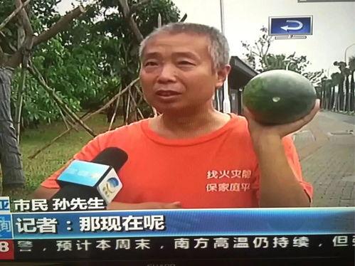 家乡吃瓜群众事件真相视频,真相视频背后的故事