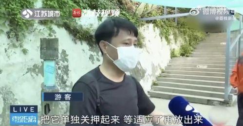 吃瓜网友团队介绍视频,揭秘网络舆论背后的神秘力量