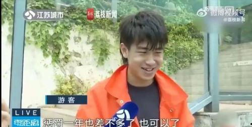 吃瓜网友团队介绍视频,揭秘网络舆论背后的神秘力量