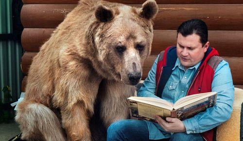 虎纹熊可以吃白瓜吗视频,揭秘野生动物的饮食习惯