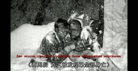 延安吃瓜事件真相视频,揭秘真相背后的惊人内幕