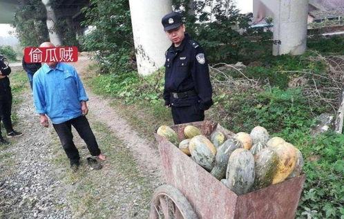 延安吃瓜事件真相视频,揭秘真相背后的惊人内幕