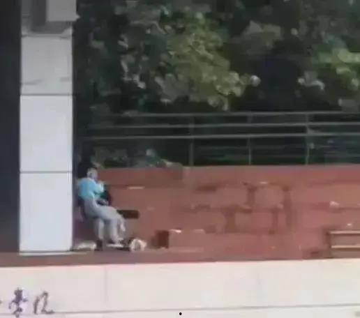 吃瓜事件视频学校,揭秘背后真相与反思