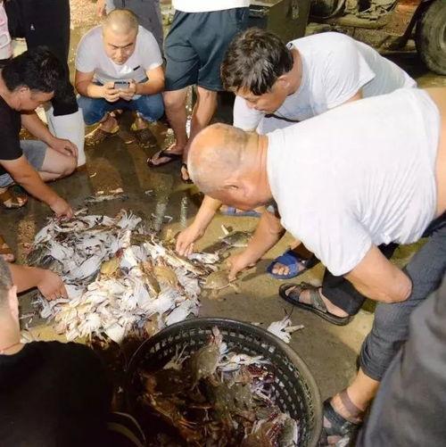 莱州高职吃瓜视频,揭秘校园生活趣味瞬间