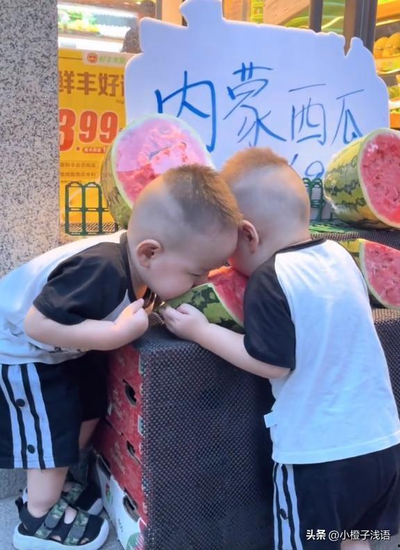 双胞胎哥哥吃瓜视频播放,揭秘瓜界新宠儿