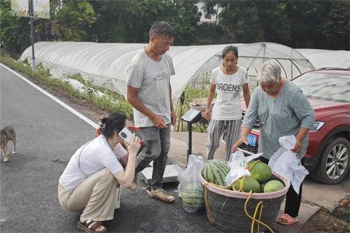 吃瓜游客视频大全最新,揭秘网红景点幕后趣闻