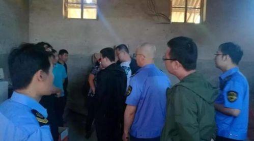 文水县吃瓜事件始末视频,一场网络舆论的风波与反思