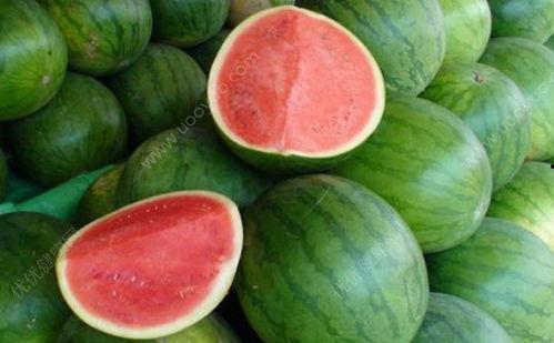 自发热吃瓜视频,揭秘网红美食背后的秘密