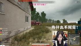 主播吃无骨鸡瓜视频,美味与创意的完美融合