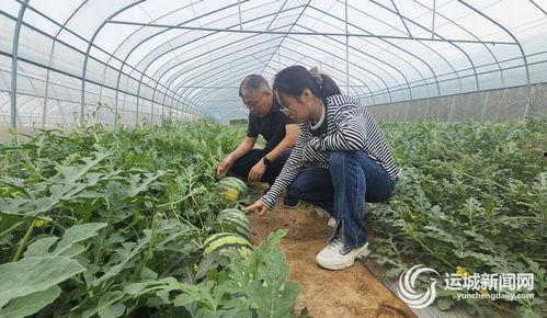 吃小吊瓜的视频播放,视频播放带你领略美味瞬间