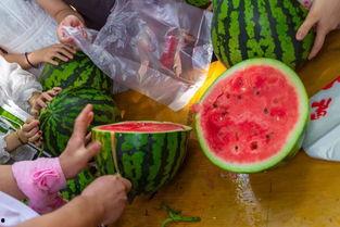 高中生视频吃瓜,高中生视频吃瓜背后的校园生活