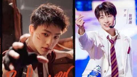 张欣尧的吃瓜视频大全集,揭秘娱乐圈幕后故事