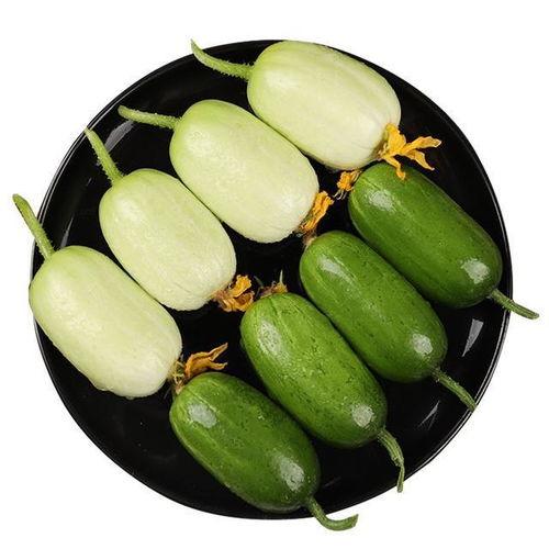 瓠子瓜怎么样吃最好视频,视频教你最佳食用技巧