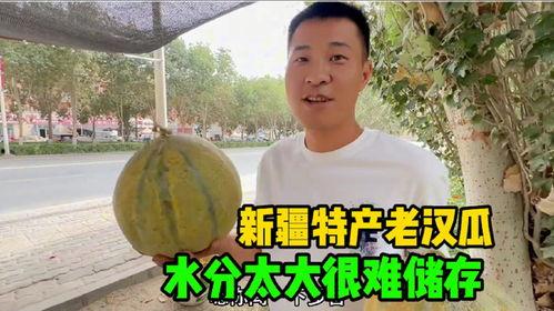 在新疆旅游吃老汉瓜视频,探寻老汉瓜的独特魅力