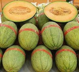 每天吃几个蜜瓜最好呢视频,健康美味两不误