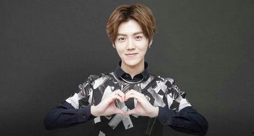 鹿晗早期采访陈赫吃瓜视频,一场意外的美食邂逅