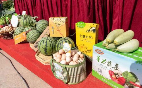 送瓜吃的视频,温馨视频传递邻里温情